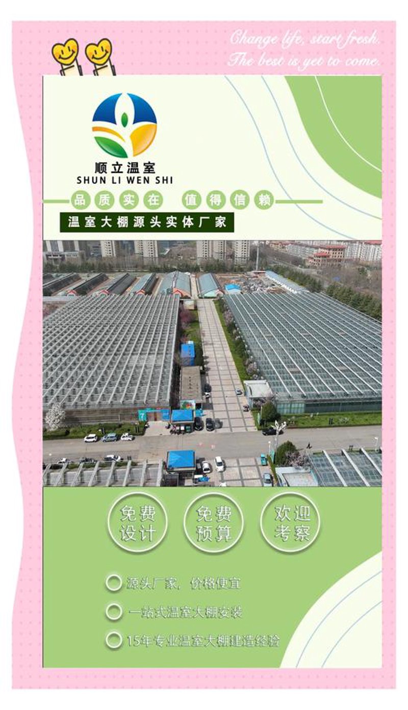 家庭菜园：从阳台到后院的绿色革命